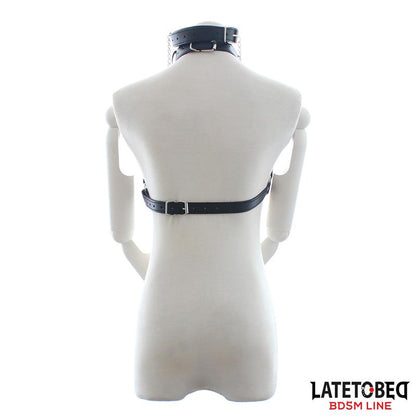 Krūtinės diržas su atvirais kaušeliais ir reguliavimu