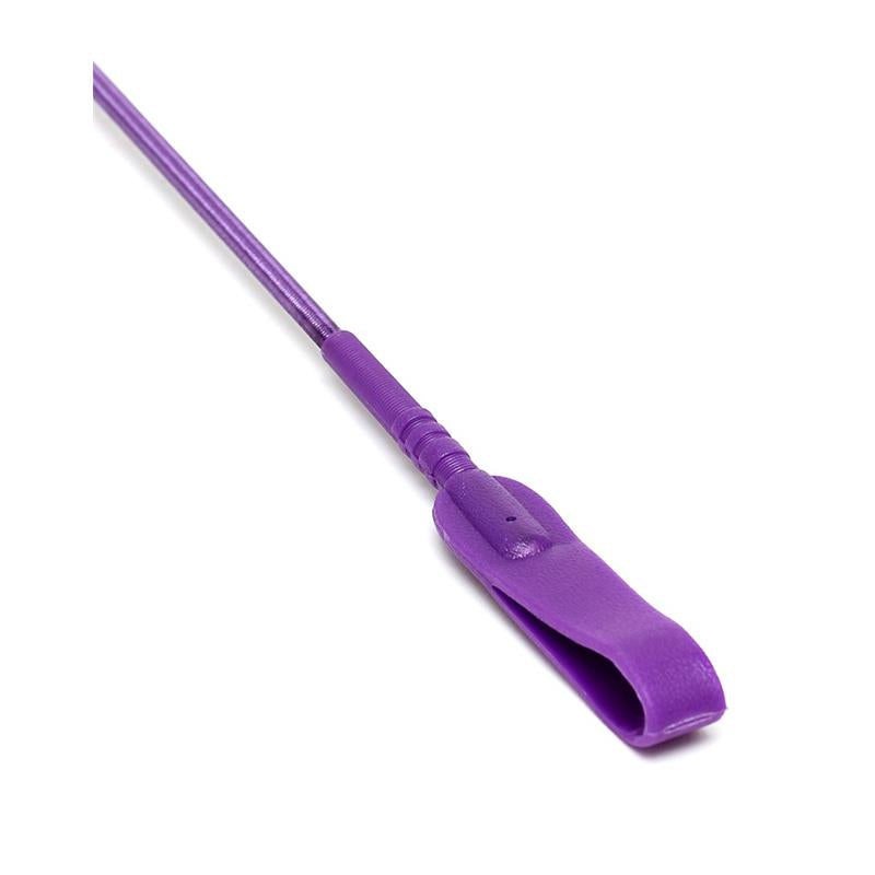 Plakimo šluotelė su ergonomiška rankena